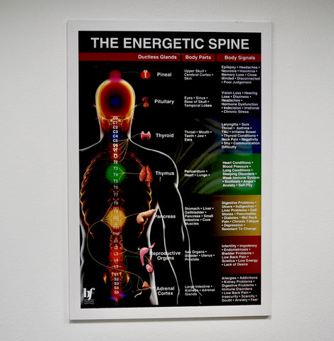 The Energetic Spine Poster